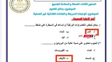 تقييمات المهارات المهنية للصف الخامس الابتدائي الترم الثاني 2025 ملخص كامل بالإجابات النموذجية