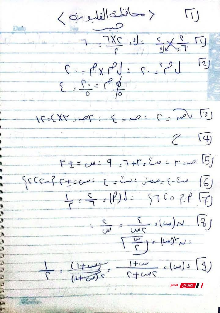 4 6