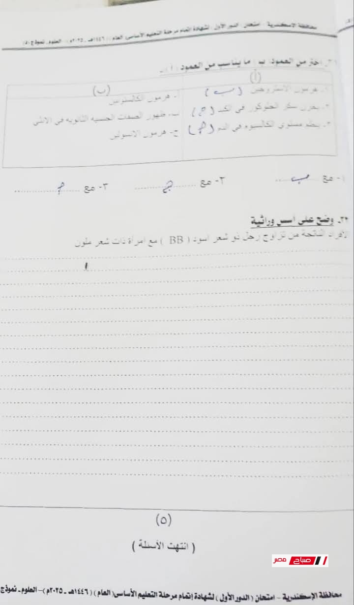 5 3