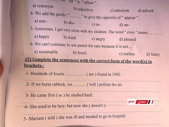 إجابة امتحان اللغة الإنجليزية محافظة الاسكندرية الشهادة الاعدادية – الترم الثاني 2025
