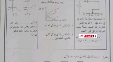 Screenshot 106