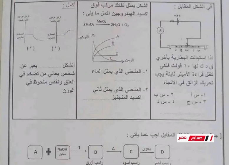 اجابة امتحان مادة العلوم محافظة دمياط الترم الثاني 2025 الشهادة الاعدادية