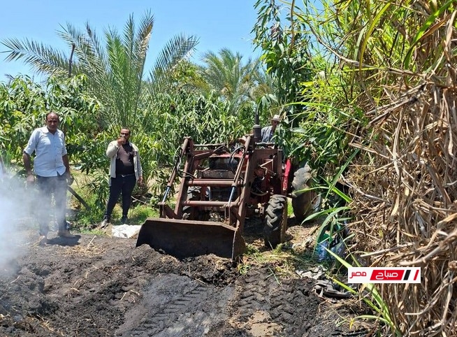 إزالة عدد من مكامير فحم نباتى بكفر البطيخ بدمياط