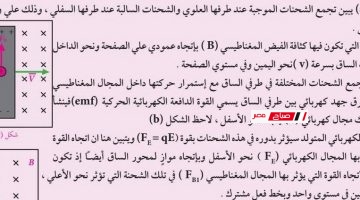 Screenshot 183
