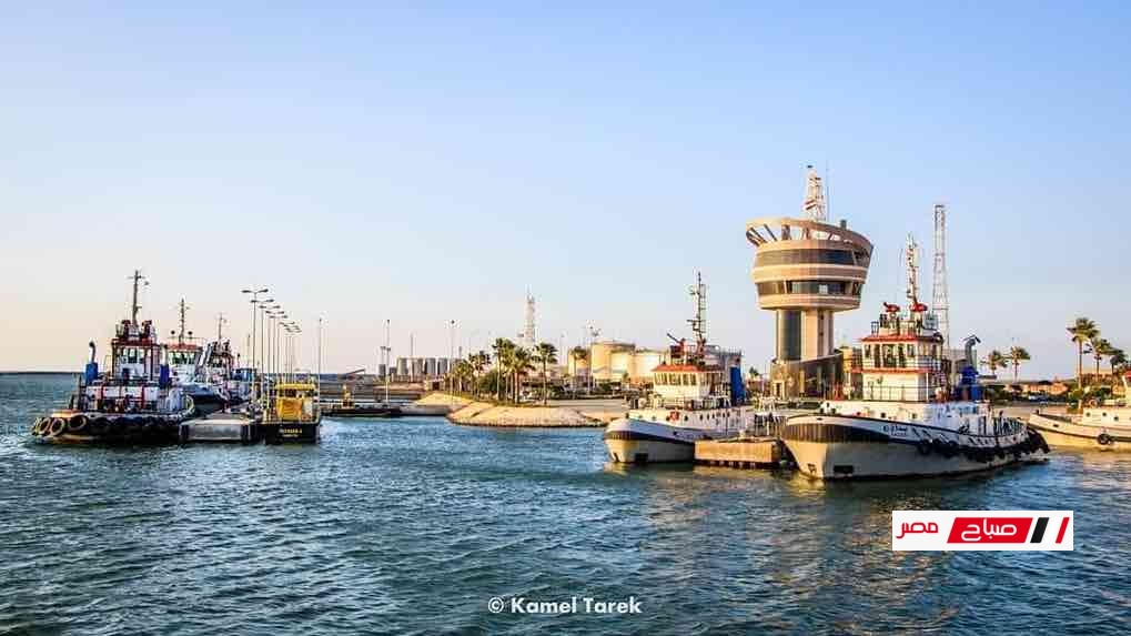 هيئة ميناء دمياط تعلن تفريغ 1576 طن خشب زان على الارصفة