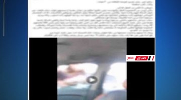Screenshot 245