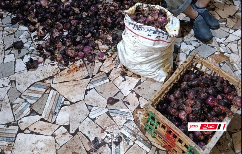ضبط وإعدام 2730 كيلو أغذية وزيوت غير صالحة للاستهلاك الآدمي خلال حملة تفتيشية بكفر سعد