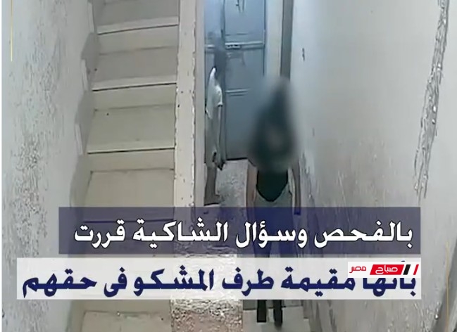 كشف تفاصيل تضرر سيدة من قيام زوجة ابنها بتهديدها في الإسكندرية