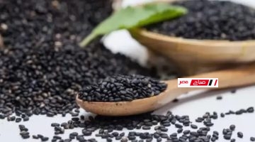 حبة البركة … معجزة الحبة السوداء لرفع المناعة وانقاص الوزن واكزيما الجلد والصدفية